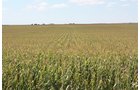 Property photo 48 - LAND AUCTION, 3255+/- Acres offered in 13 Tracts
